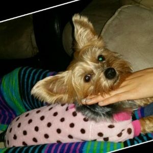 Meet your Posher, Potter